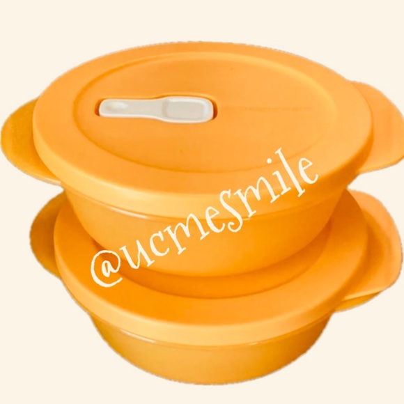 Tupperware CrystalWave Small Vented Container Set - Picture 1 of 3